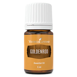 Goldenrod Essential Oil Blend Young Living Essential Young Living Essential by Young Living - 5ml